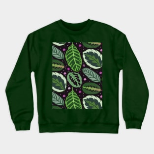 Maranta Crewneck Sweatshirt